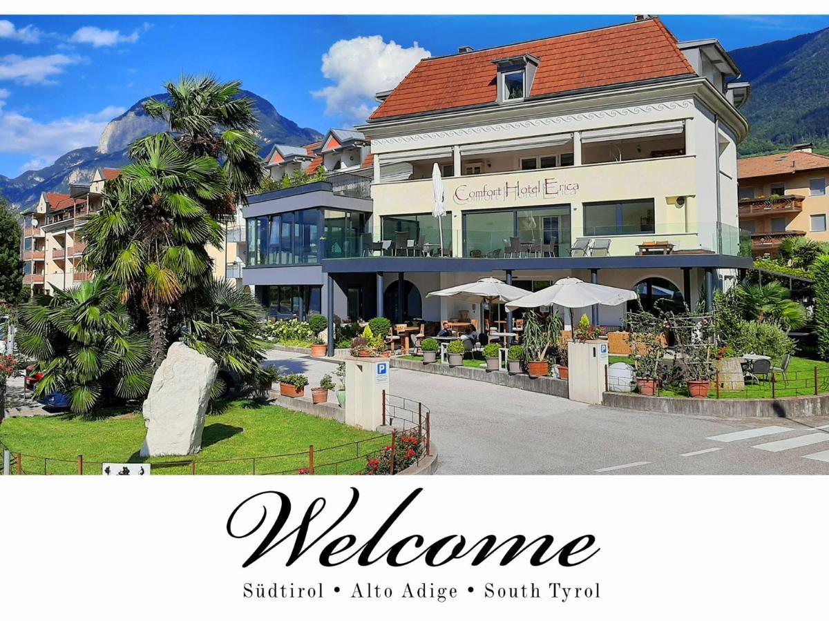 Hotel Comfort Erica Dolomiti Val D'Adige Salorno Kültér fotó